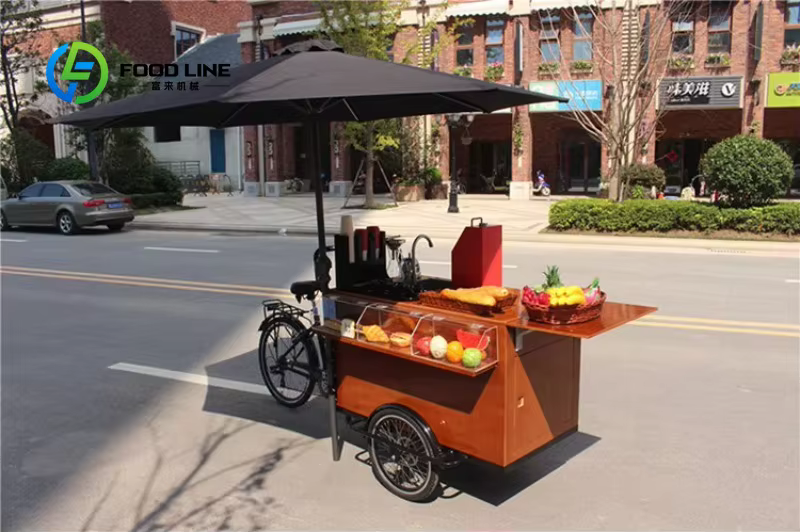 Vélo Cargo électrique pour adultes