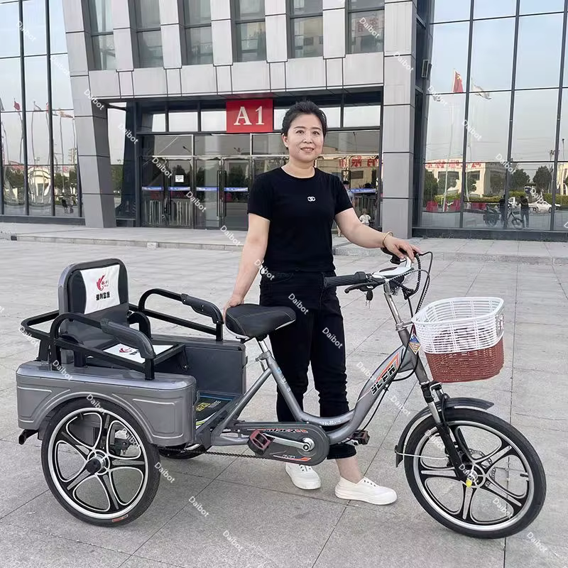 350W 48V nouveau Tricycle électrique à 3 roues vélo Cargo avec passagers pour personnes âgées famille Booster