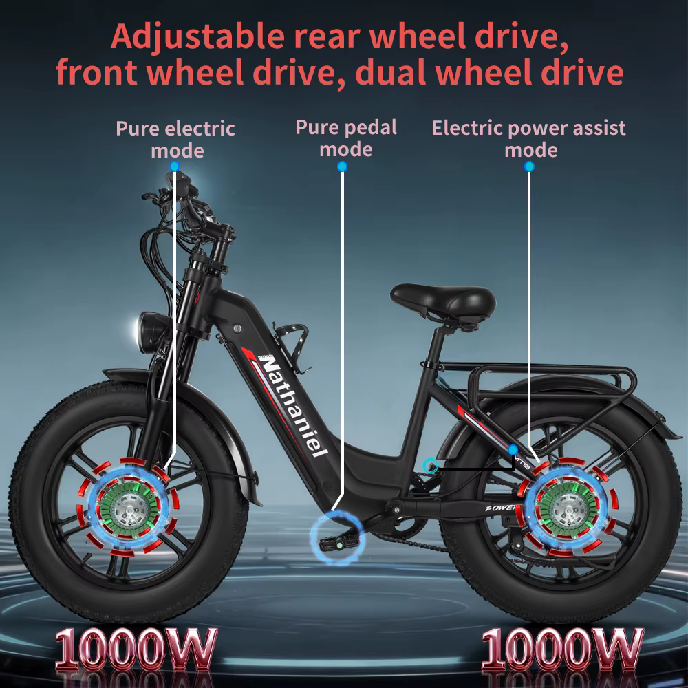 Vélo électrique adulte Nathaniel SYR08