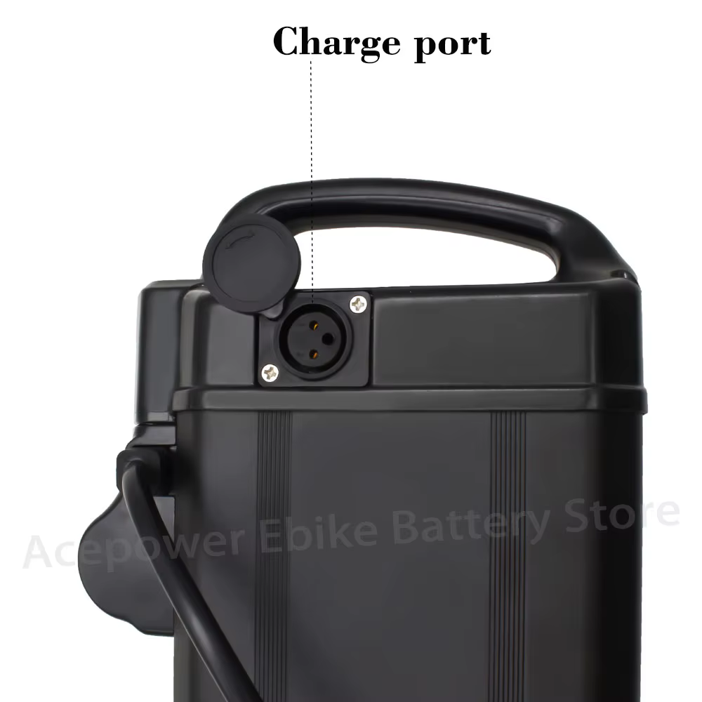 Batterie de rechange pour vélo électrique, 48V, 20Ah, 20,8 Ah, 23,2 Ah, 30Ah, pour support Fiido T2, moteur 24.com 1000W