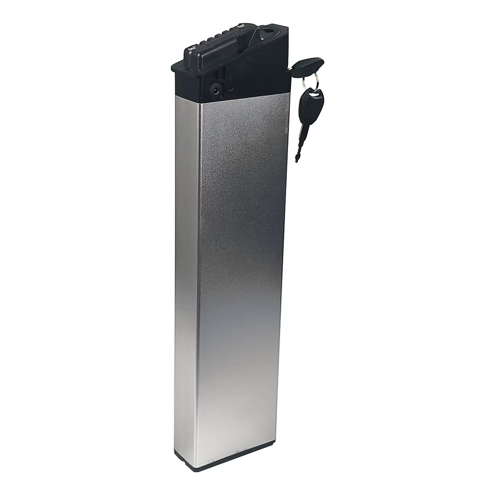 Batterie Mx21 36/48V 12