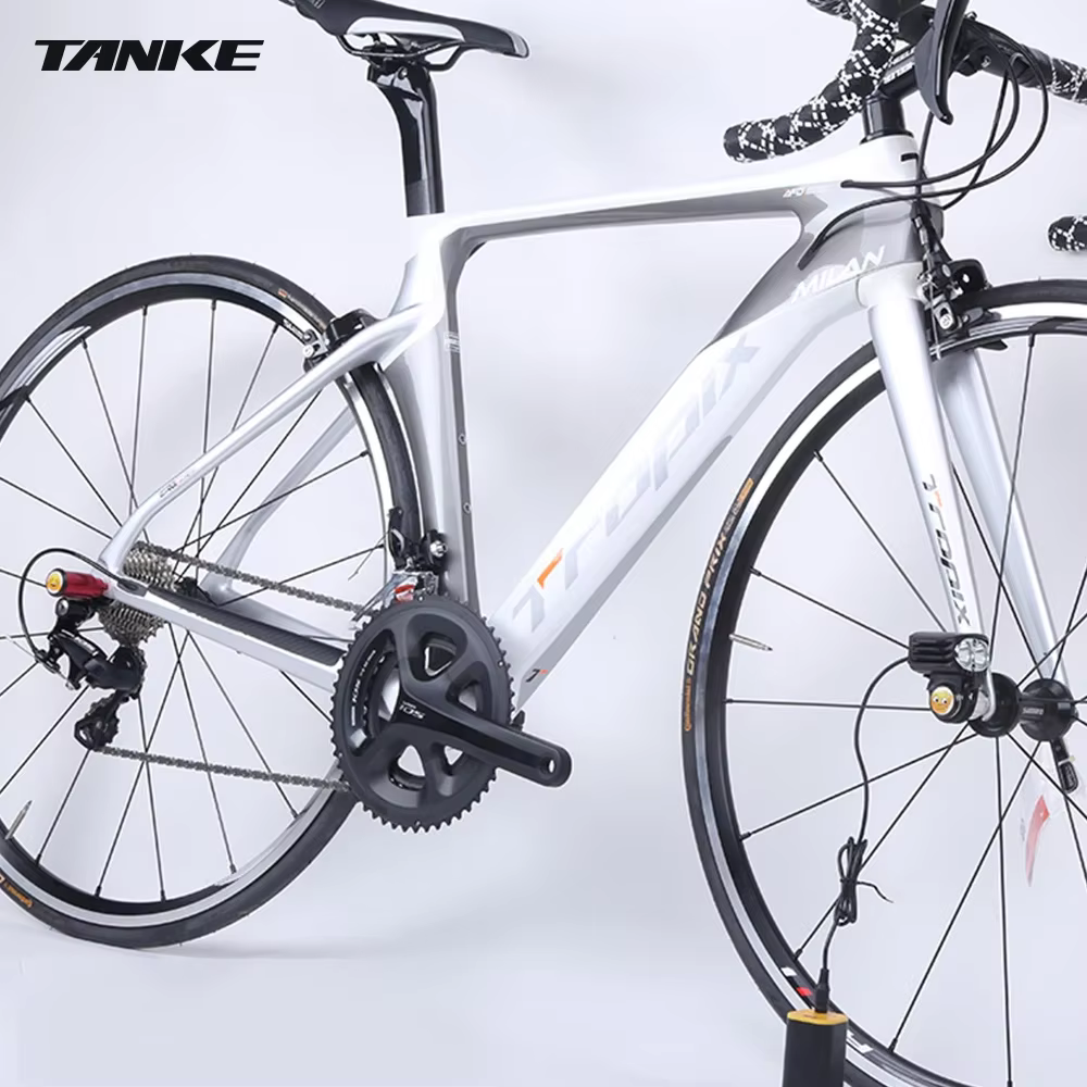 Protecteur de Transmission arrière de vélo