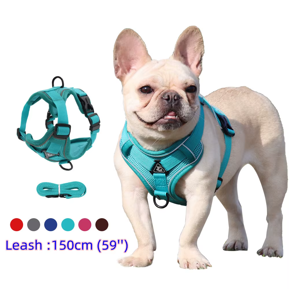 Ensemble harnais et laisse, accessoires pour animaux de compagnie, harnais pour petit chien, bouledogue français, carlin, Pitbull, chiot, collier pectoral, fournitures pour Chiens