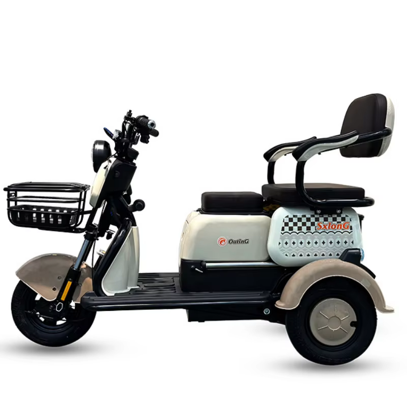 1000W 60V nouveau Scooter électrique marron rose pour personnes âgées femmes 3 roues Tricycle