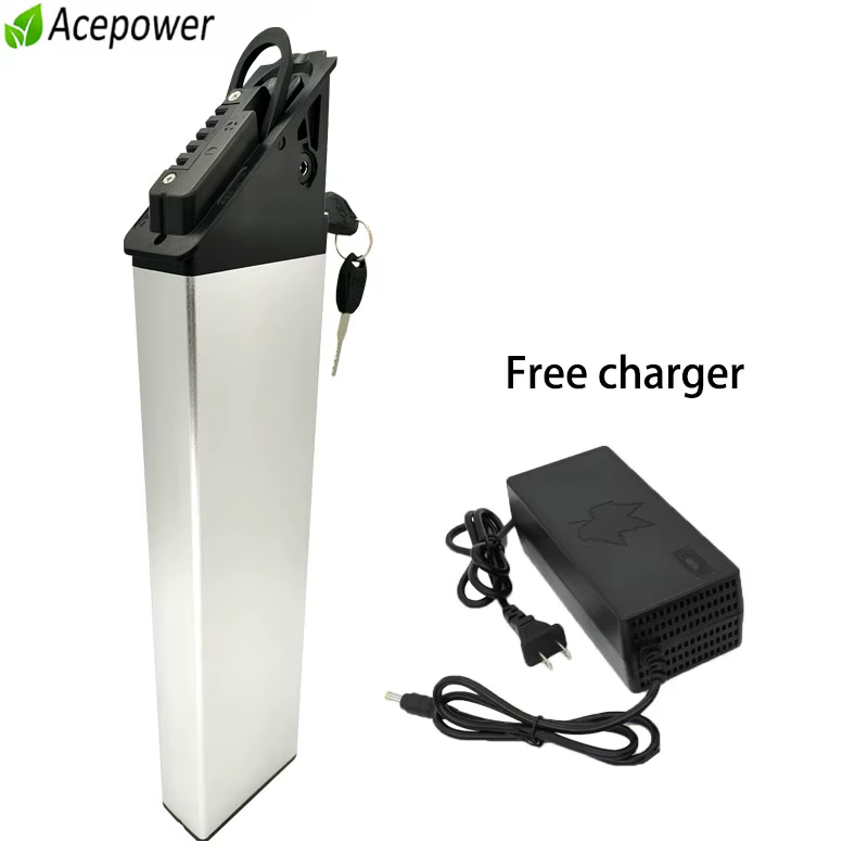 Batterie longue portée pour vélo électrique XP Step-Thru Ebike
