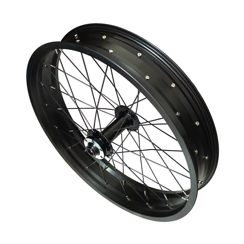 Jeu de roues avant de vélo en aluminium 20x4.0 avec 36 rayons pour accessoires de vélos Fatbike