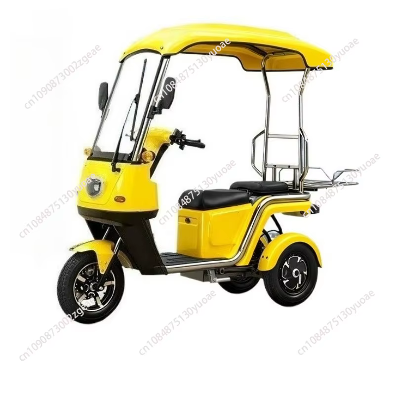 Tricycle électrique à 3 roues avec auvent