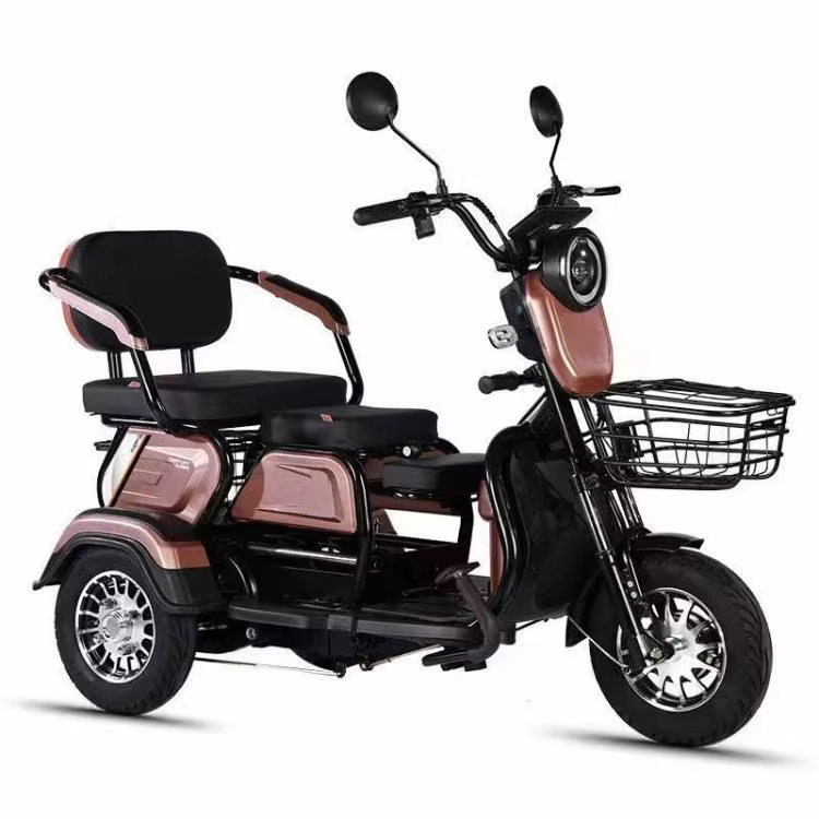 Vélo électrique à 3 roues TTY Factory 600W 48V