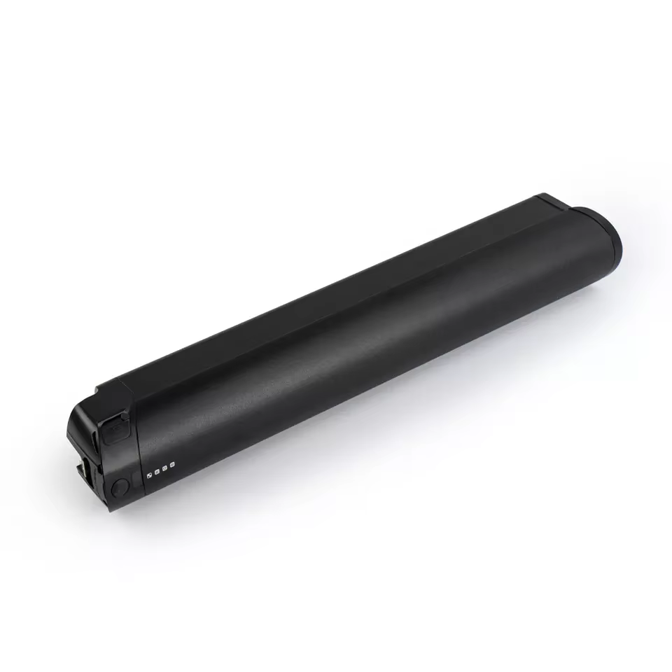 Batterie de remplacement 36V Reention EEL Pro