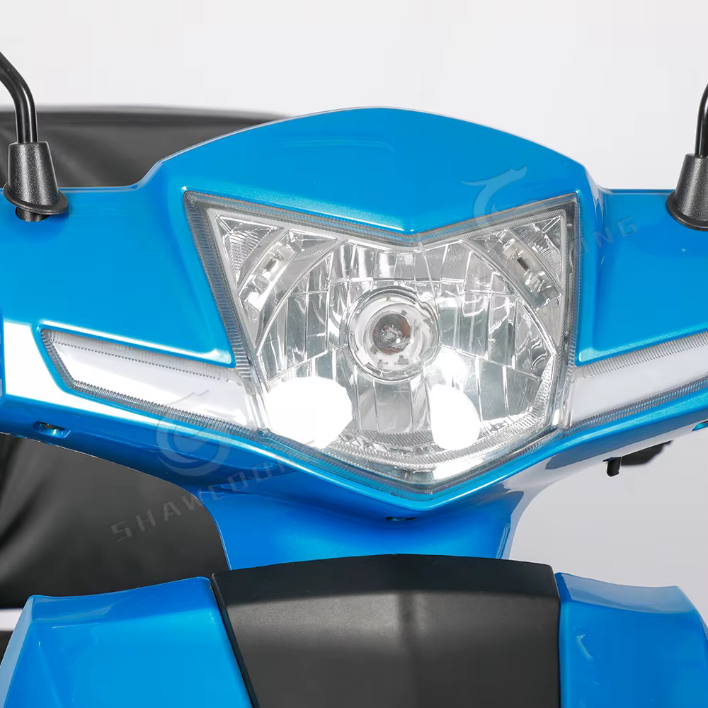 Nouveau Tricycle de Scooter électrique LED 48V 500W
