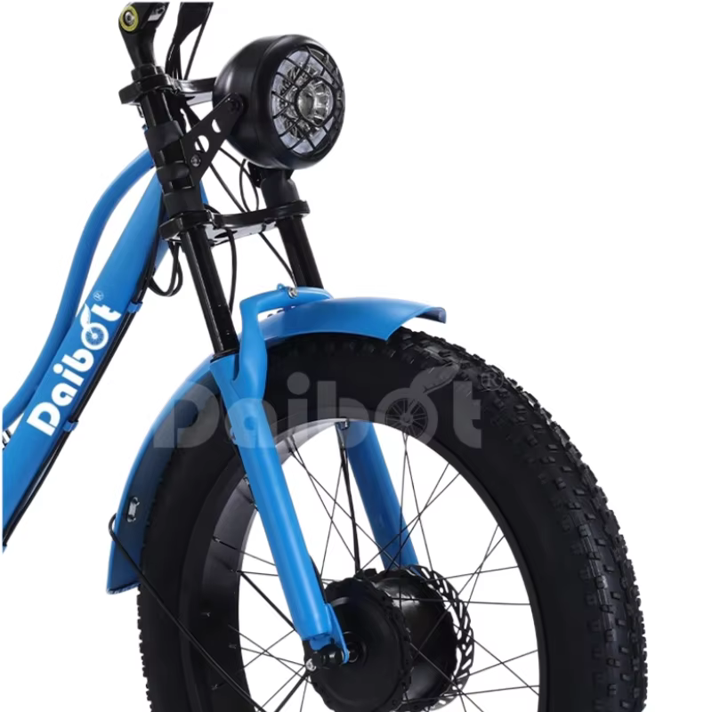 Tricycle électrique puissant à 3 roues et pneus larges pour adultes, deux places, 750W, pour la montagne, la neige, la famille, vélo électrique, trike, pour homme