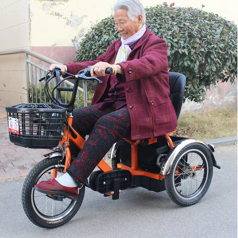 Mini vélo électrique à trois roues 250W 24V