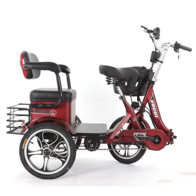 Tricycle Électrique à 3 Roues avec Siège Passager pour Adulte