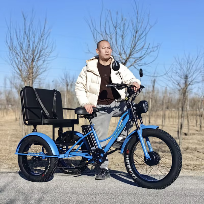 Vélo électrique de montagne à 3 roues 750w