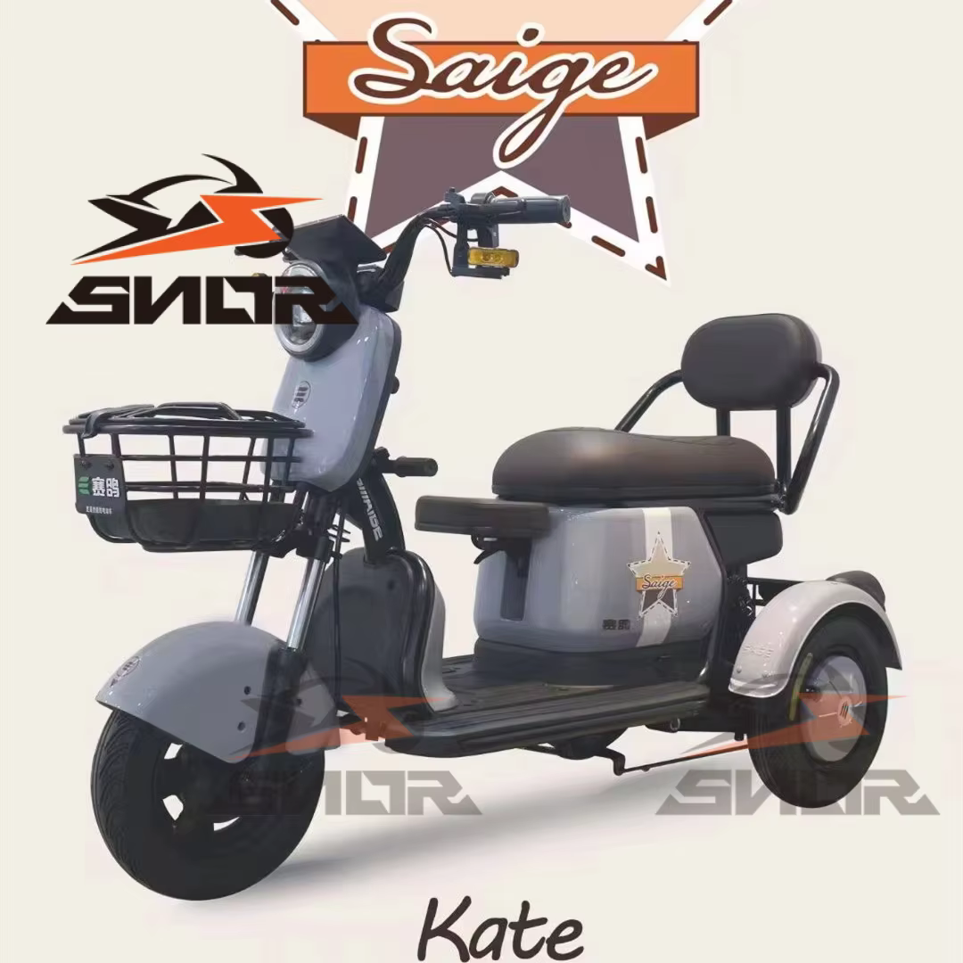 Chine Tricycle électrique adulte à 3 roues avec siège enfant et barre de poignée Certificat CEE Tricycles électriques E-Trrikes moins chers