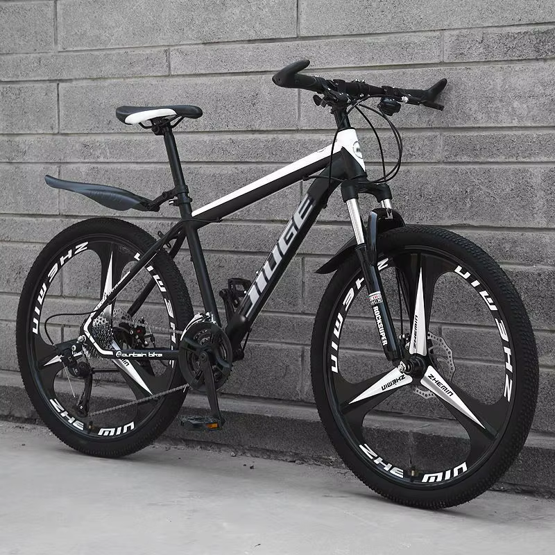 VTT vélo de fond 24/26 pouces vitesse Variable Absorption des chocs étudiants de cyclisme en plein air