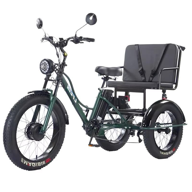 Tricycle électrique Cargo gros vélo pour deux personnes 2 places 750W 48V hors route puissant
