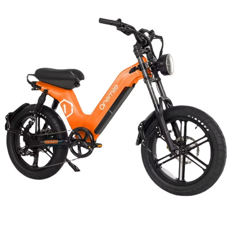 Fatbike – vélo électrique 2024