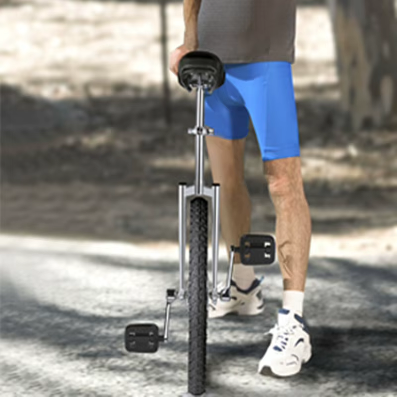 Monocycle mixte pour adultes