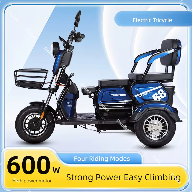 Tricycle électrique adulte Senior avec siège passager 600W 48V 20AH famille tout Terrain Scooter