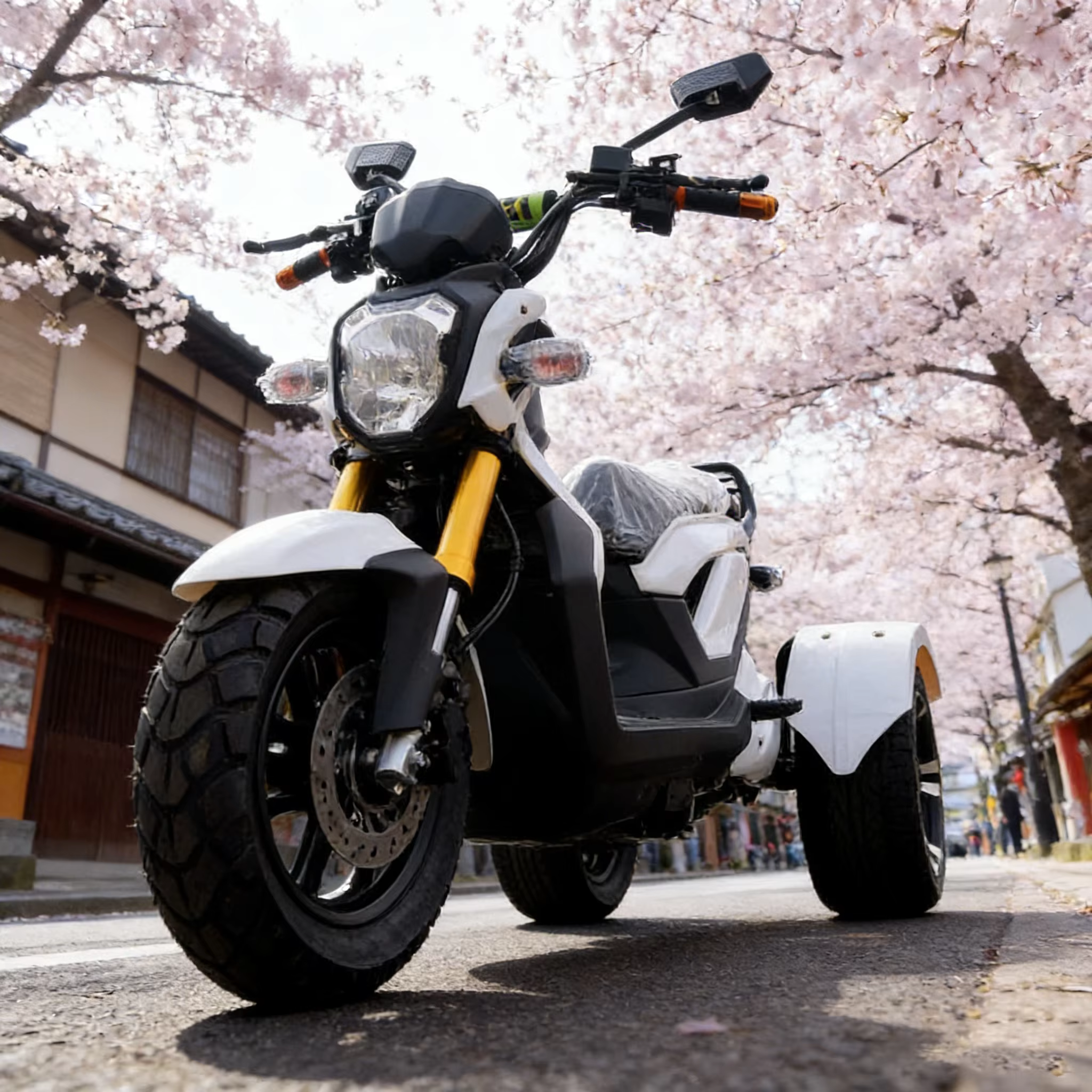Tricycle électrique tout-terrain pour adultes