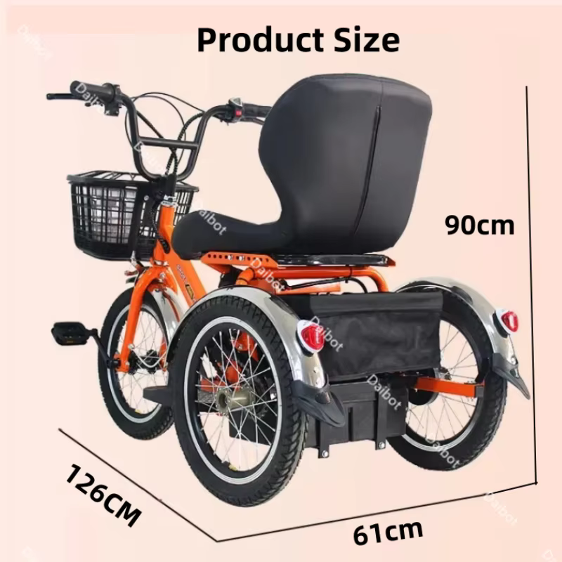 Mini vélo électrique à trois roues 250W 24V