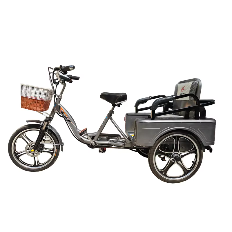 Tricycle électrique pour personnes âgées