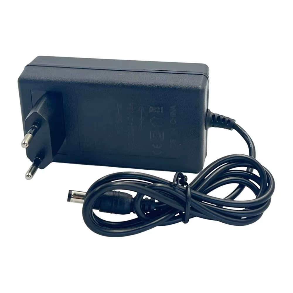Chargeur de Scooter électrique 24.2V 1