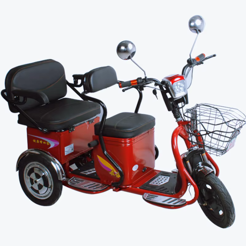 600W 60V 3 roues Parent enfant Scooter électrique 2 places pour personnes âgées avec batterie amovible Tricycle