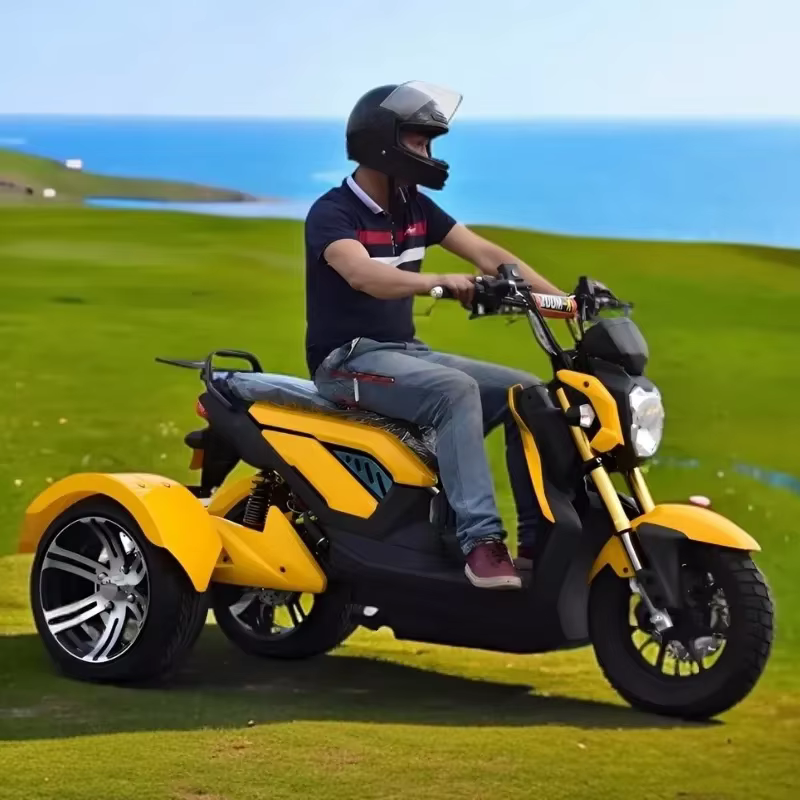 Tricycle électrique tout-terrain pour adultes