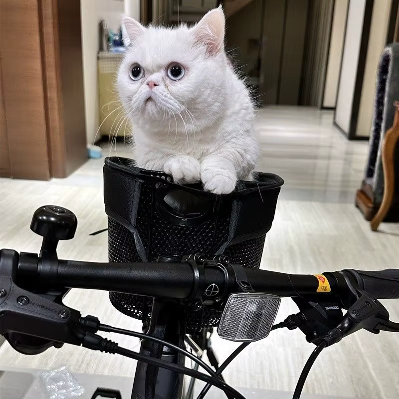 Panier de vélo pliable et détachable pour animaux de compagnie