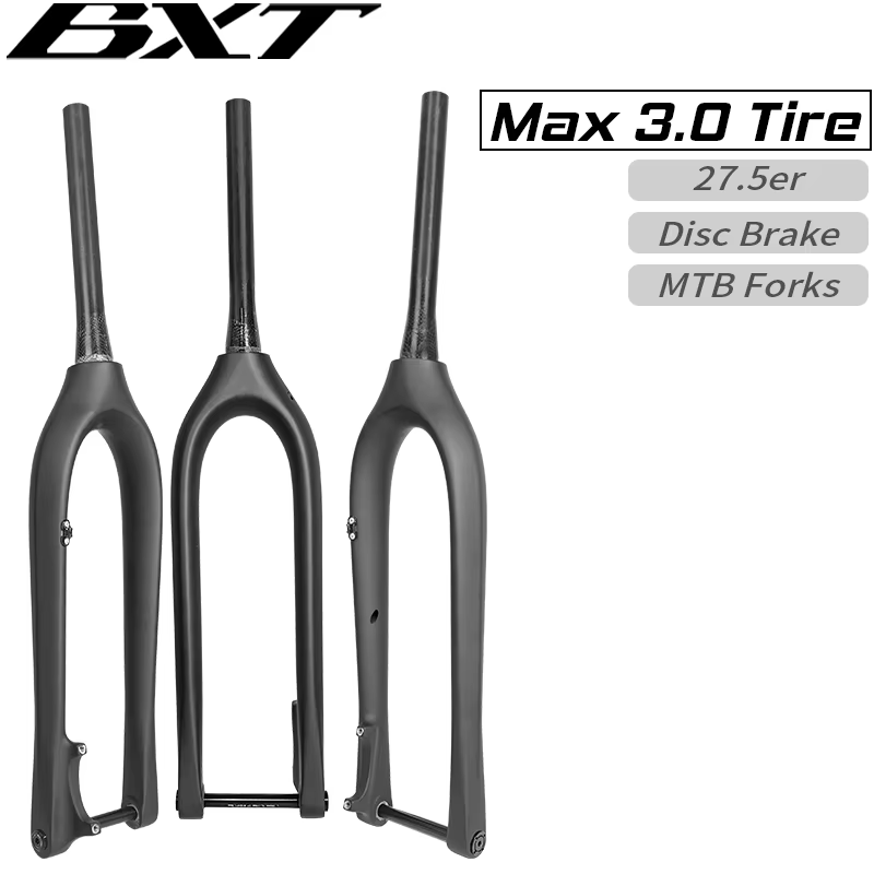 Fourche de vélo de montagne en carbone BXT