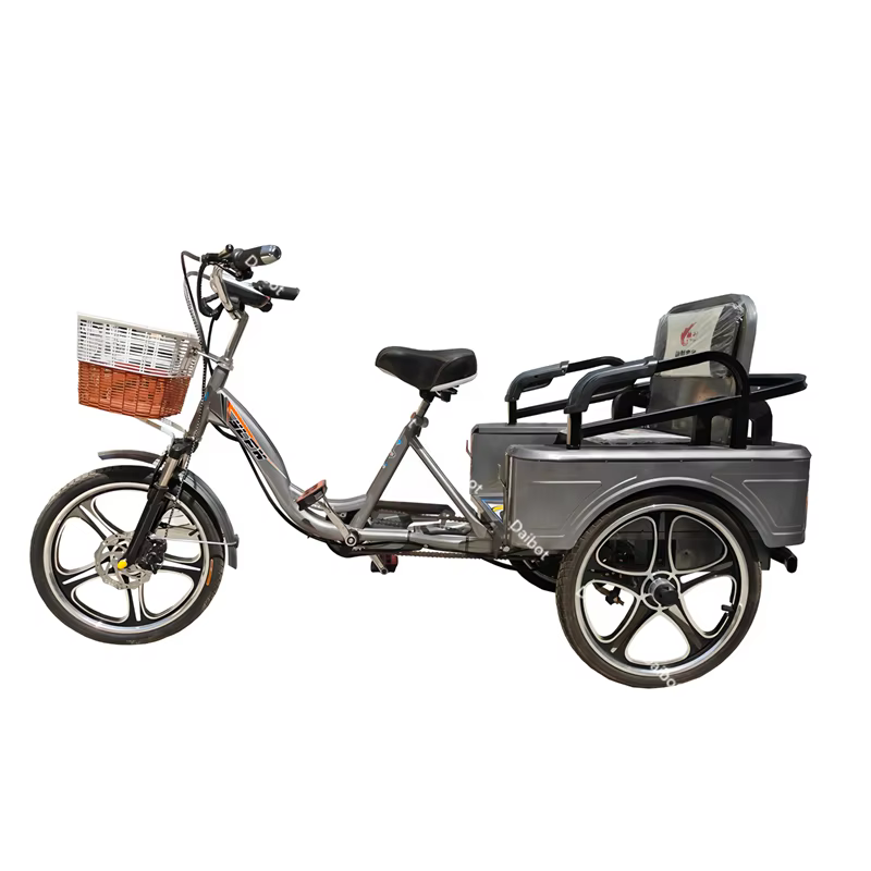 Parent enfant 2 personnes vélo électrique 3 roues avec panier de chargement Tricycle