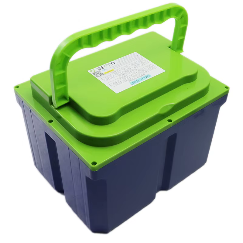 Nouvelle batterie LiFePO4 48V 20Ah, EVE-C40 16S1P, 8000+ cycles, pour moteur 1500W, scooter électrique, voiturette de golf, moto, bateau, conception portable