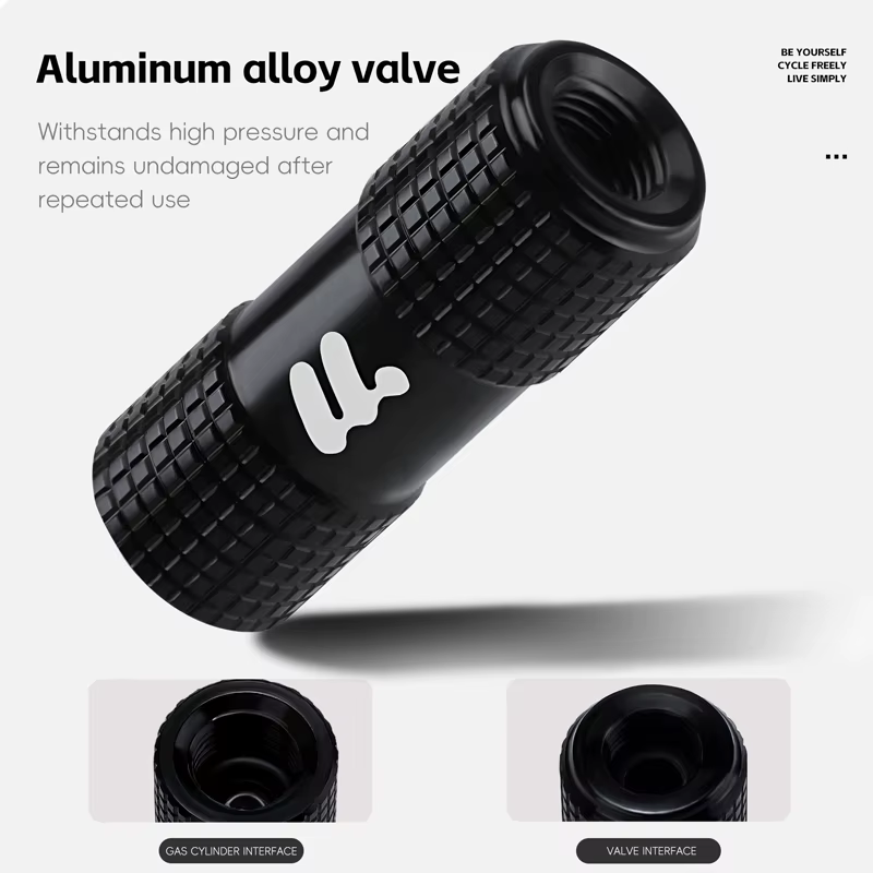 WEST BIKING – buse de gonflage de vélo en alliage d'aluminium
