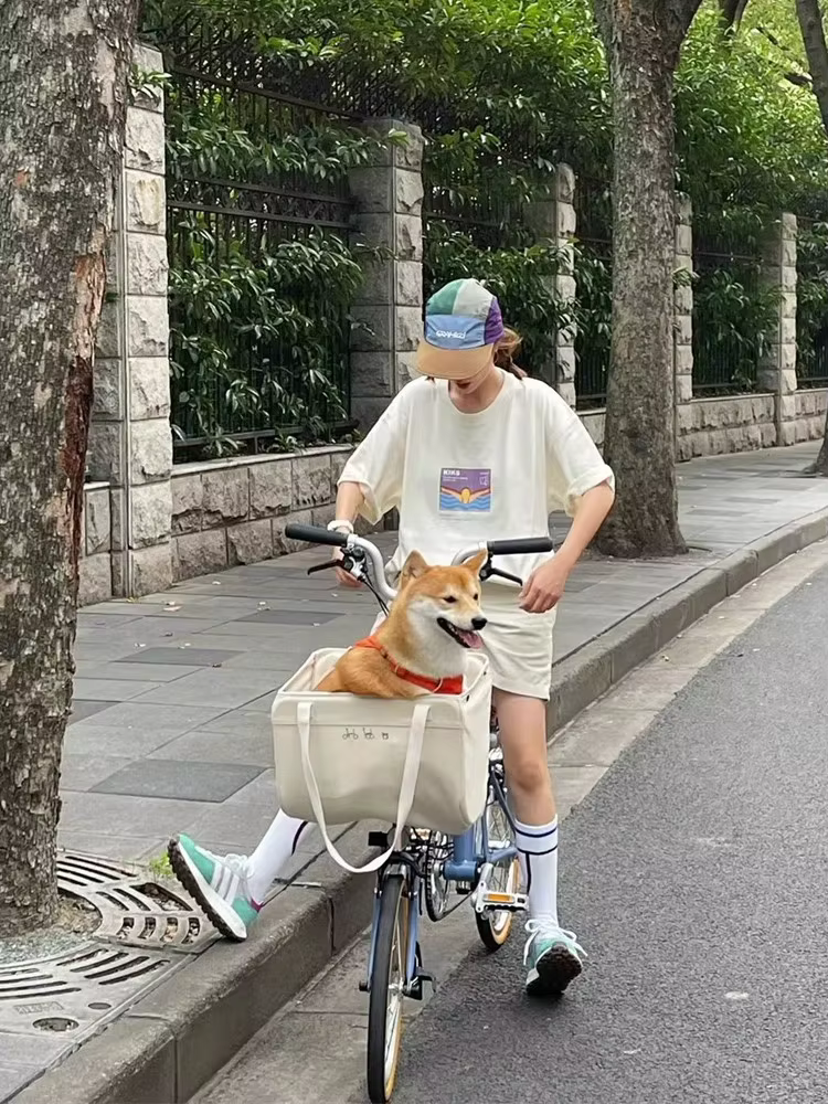 Sac en toile pliable pour vélo Bromsilice