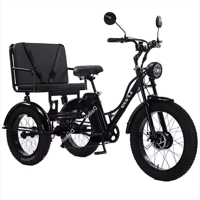 Tricycles électriques à trois roues avec siège de passager pour adulte 48v 750w 24 pouces gros pneu vélo électrique batterie amovible pour homme