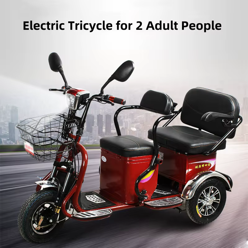 600W 60V 3 roues Parent enfant Scooter électrique 2 places pour personnes âgées avec batterie amovible Tricycle