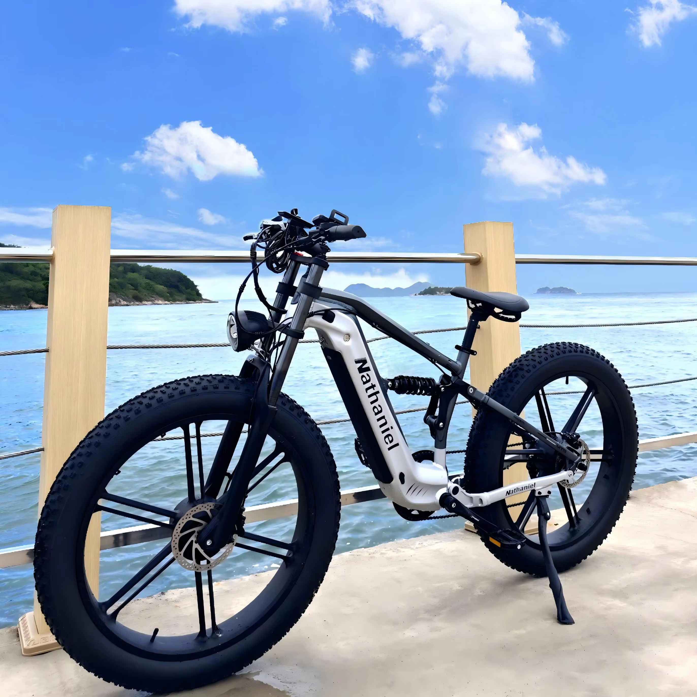 Nathaniel SYR09 vélo électrique 2000W double moteur
