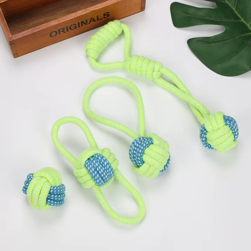 Jouets pour chiens de compagnie pour grands et petits chiens, corde en coton interactive, Mini jouets pour chiens, accessoires, brosse à dents, jouet pour chiot à mâcher
