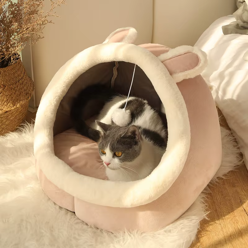 Lit de sommeil profond pour chat, lit de dessin animé pour animaux de compagnie, pliable, amovible, lavable, pour petit chien, tapis, sac, grotte, lit pour chats