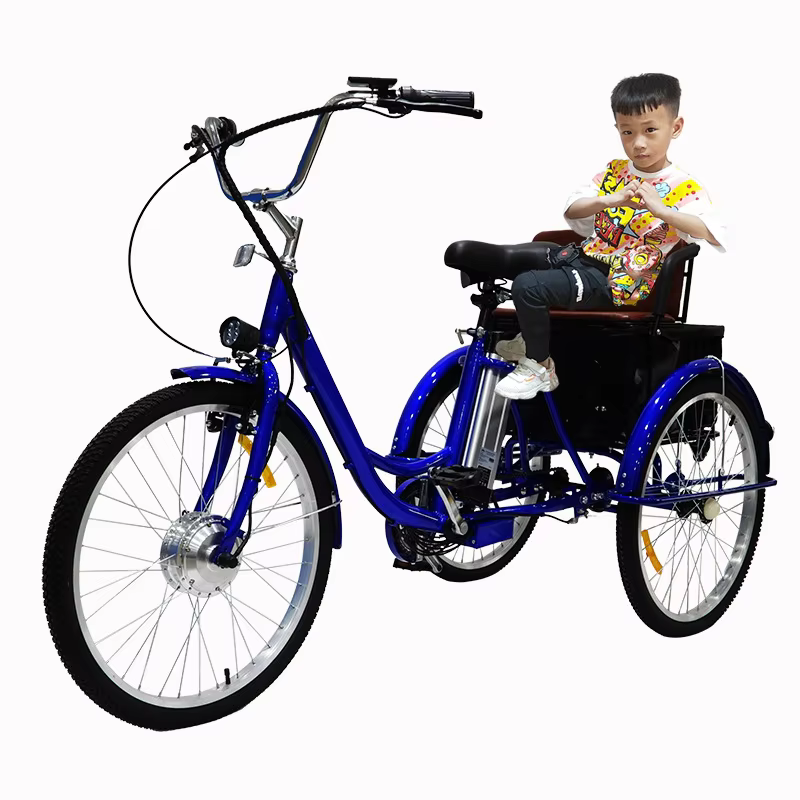 Vélo électrique Cargo à trois roues pour adultes âgés e vélos 350W Tricycle