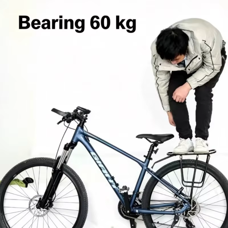 Porte-bagages arrière pour vélo de montagne