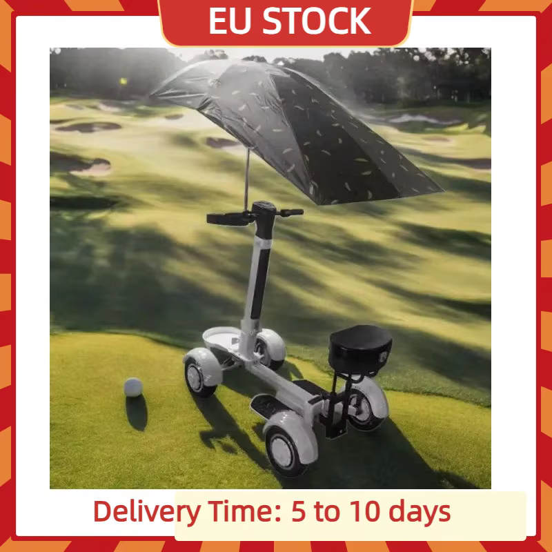 2000W 48V puissant Scooter électrique pour adultes 10 pouces voiture de Golf pliable avec siège 4 roues