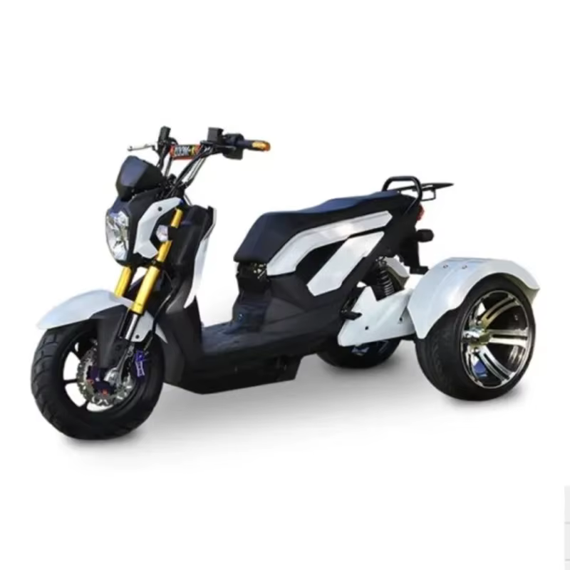 Tricycle électrique longue portée 65 km
