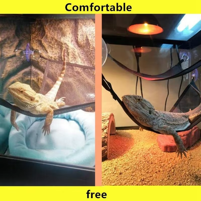Reptile hamac chaise longue échelle accessoires ensemble pour grands petits Dragons barbus Anole Geckos lézards ou serpents accessoire Reptile