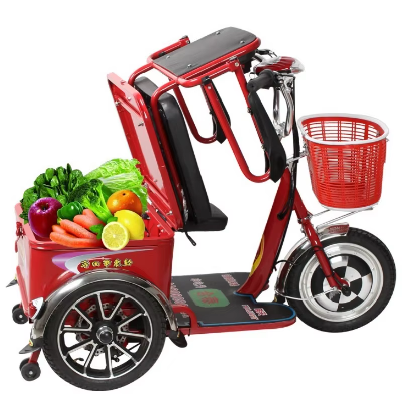 Scooter électrique à 3 roues 350W 48V