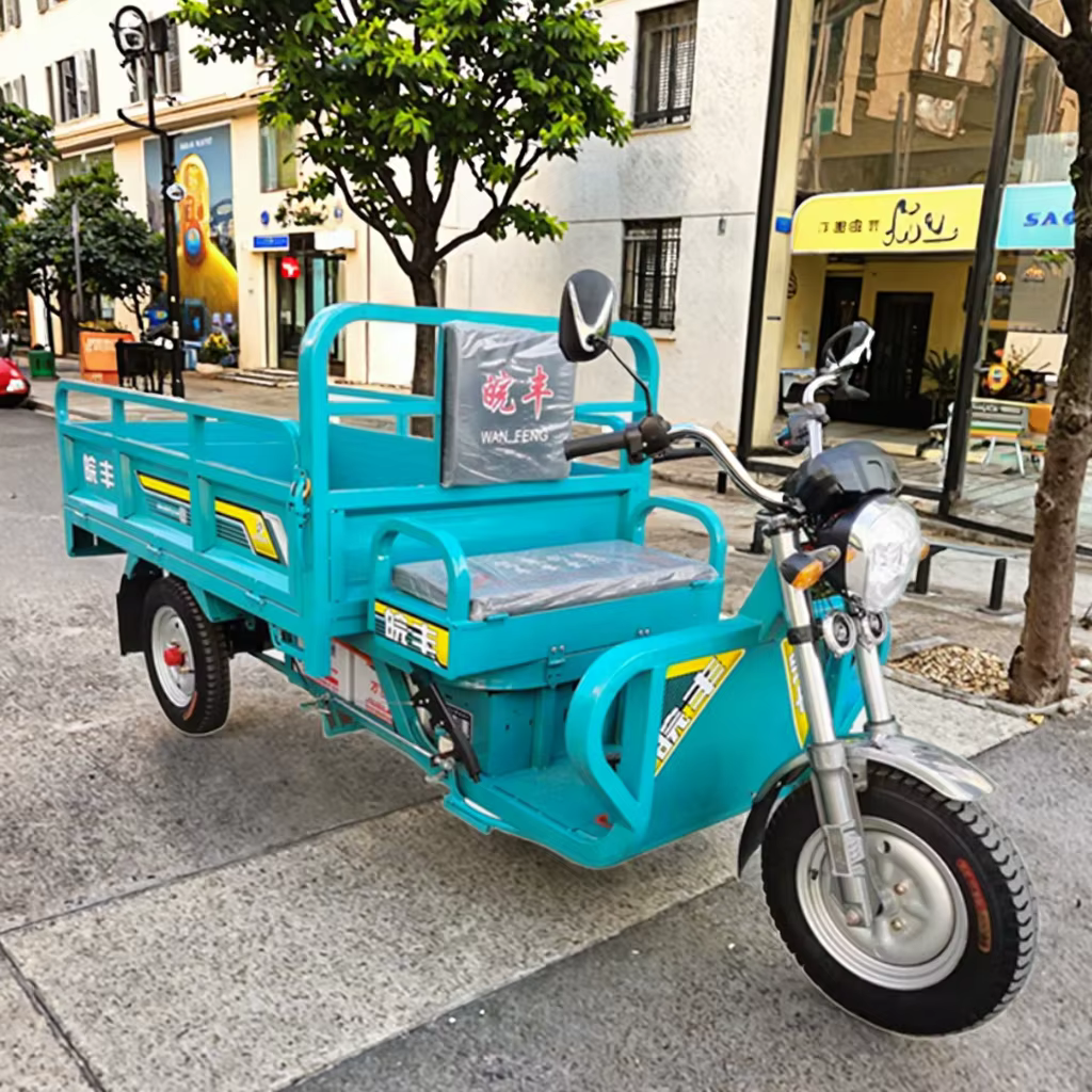 Tricycle électrique à trois portes et 3 roues ouvertes de 1.9m pour adultes