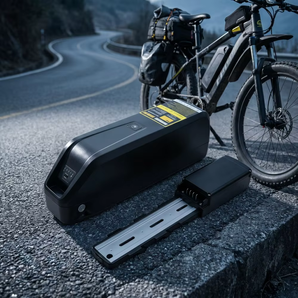 Batterie Hailong pour vélo électrique 48V 36V 20Ah 10Ah