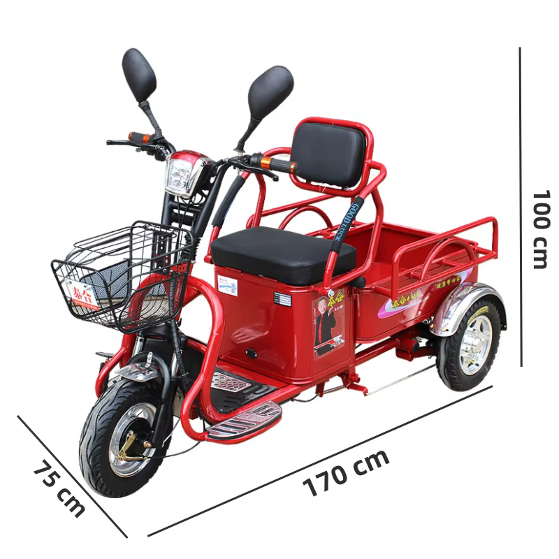 Tricycle électrique puissant pour adultes